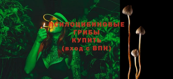 соль ск Балабаново