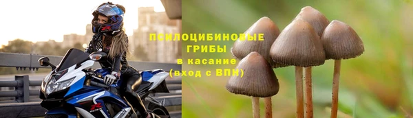 мет Балахна