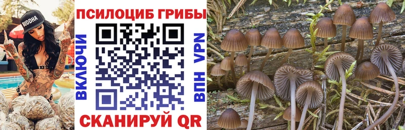 Галлюциногенные грибы ЛСД  мега   Верея  маркетплейс какой сайт  цена наркотик 